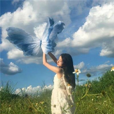 加油七条友
